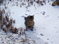 am verschneiten Teich