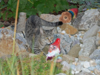 bei den Gartenzwergen