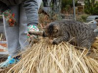 Jannie bei der Gartenarbeit
